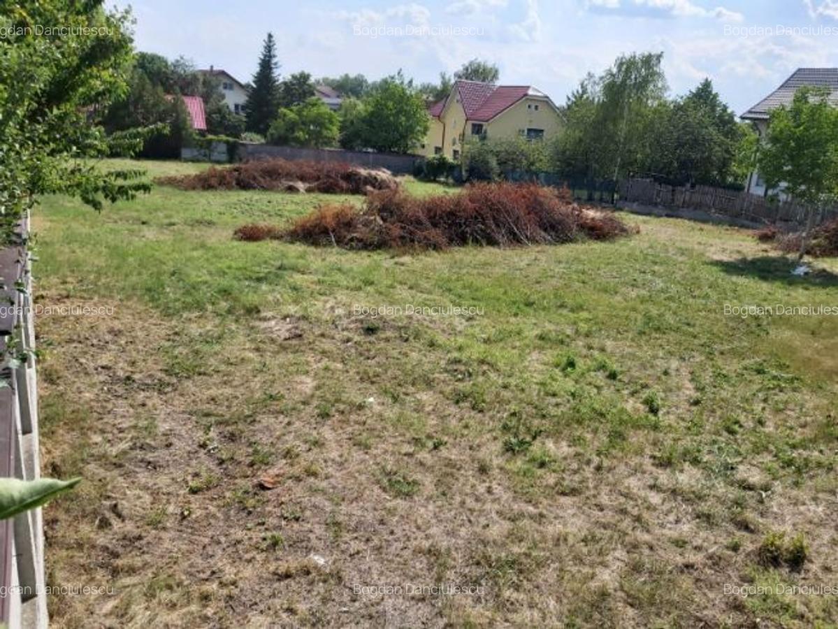 Proprietar, vand teren intravilan Mogosoaia, zona FRF - 6
