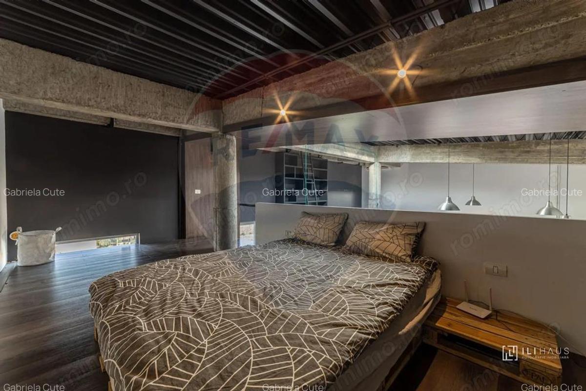 Penthouse de inchiriat in zona Micalaca - 12