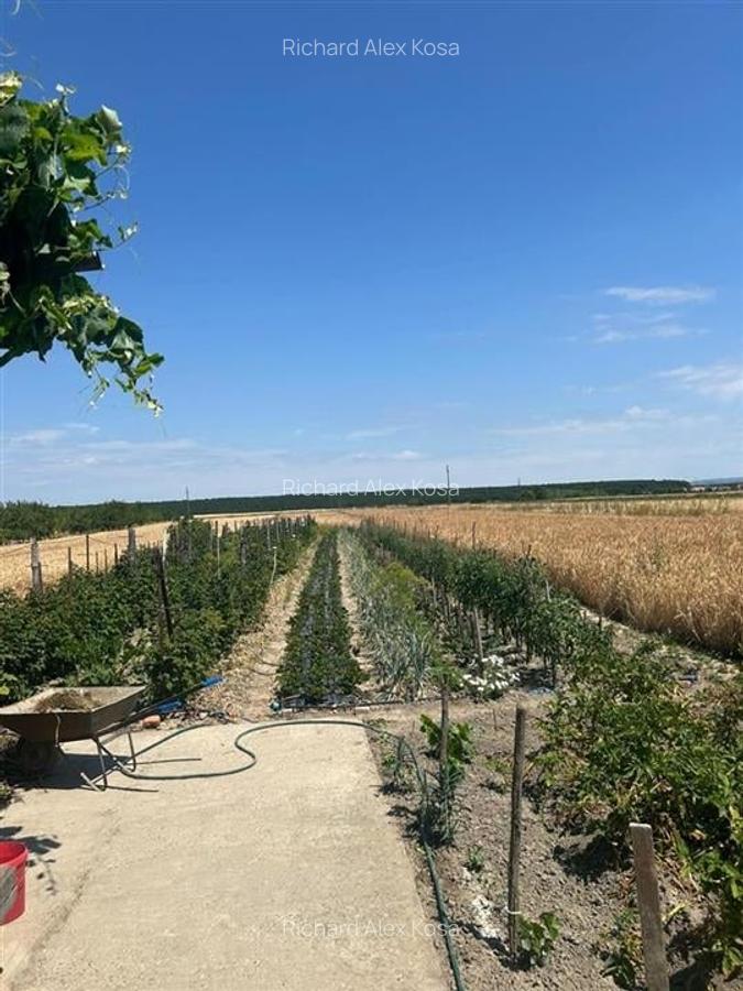Casă individuală cu 3 camere în Felcheriu - 18