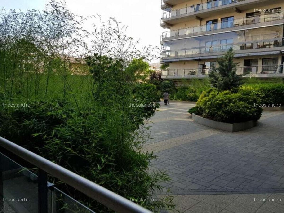 Apartament cu 3 camere decomandat în Dristor - 18