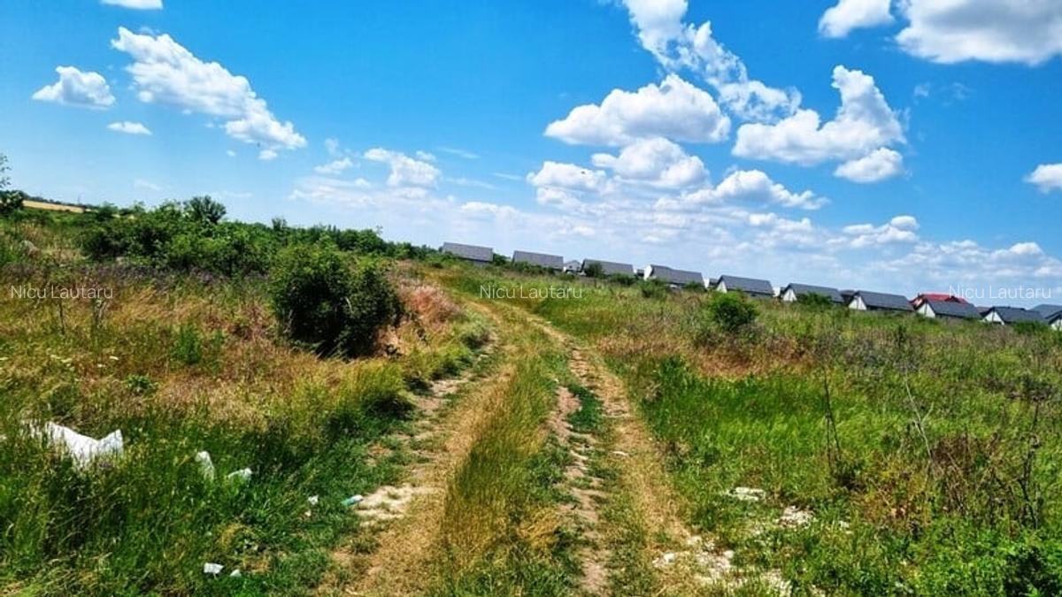 Vanzare Teren intravilan Magurele  3000mp - 2