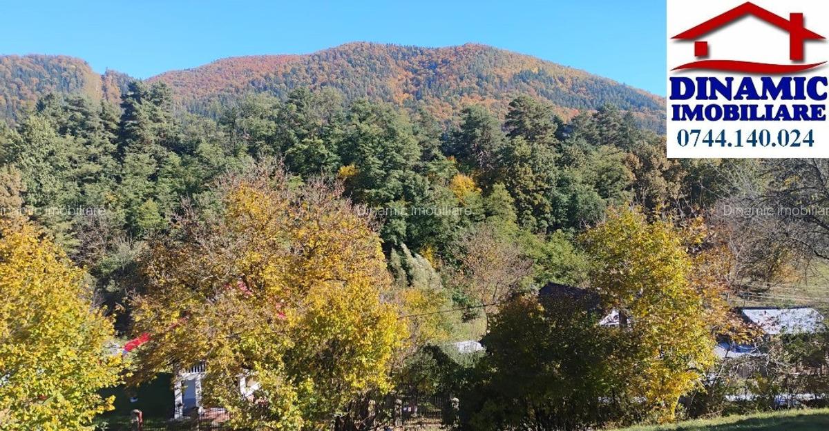 3600 mp teren intravilan, sat Bistrita, 16 Euro/mp - 4