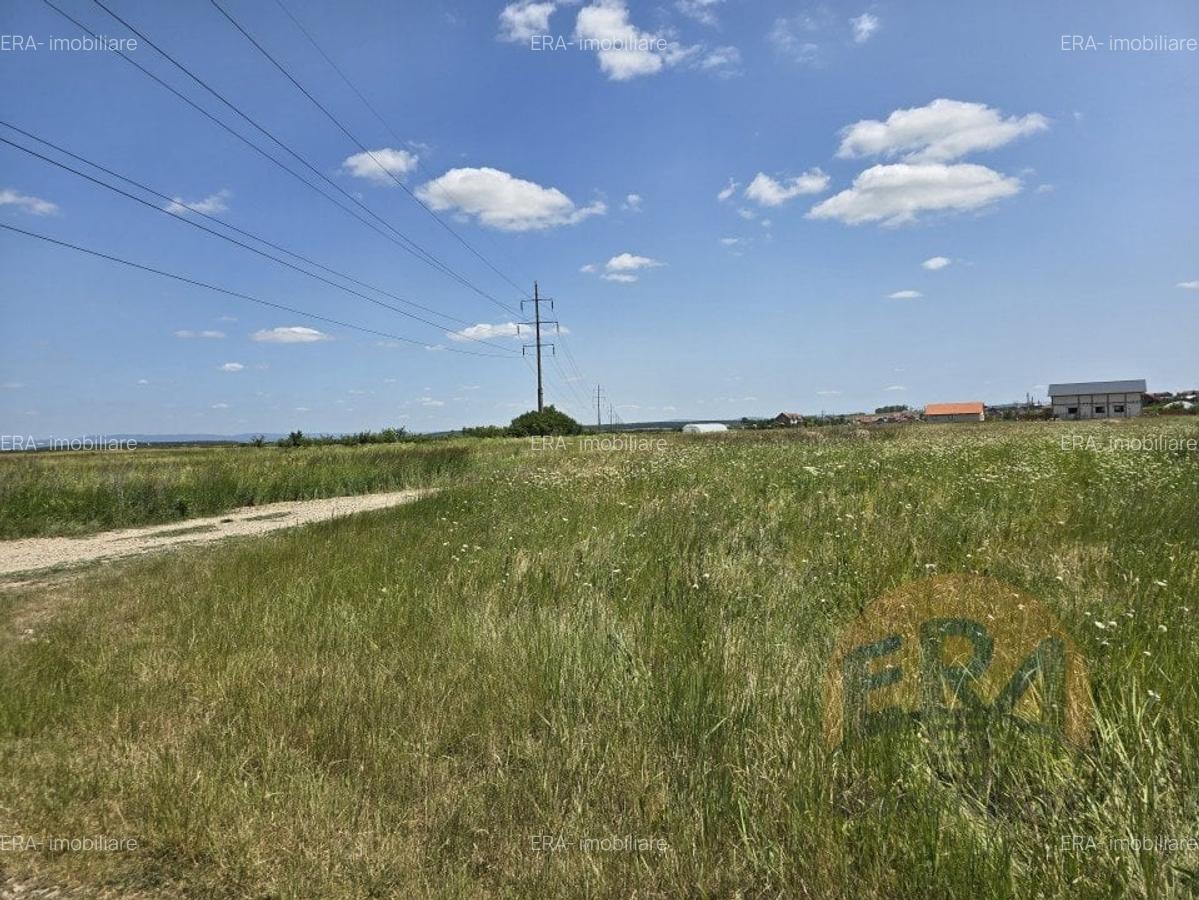Teren intravilan | Dublu Front | 750mp | Cheriu - 2