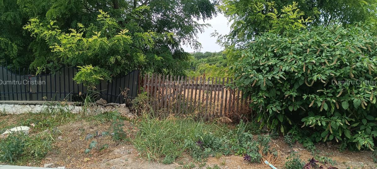 Lumina, teren intravilan, poziționat între case - 3 Lumina, teren intravilan, poziționat între case - 3