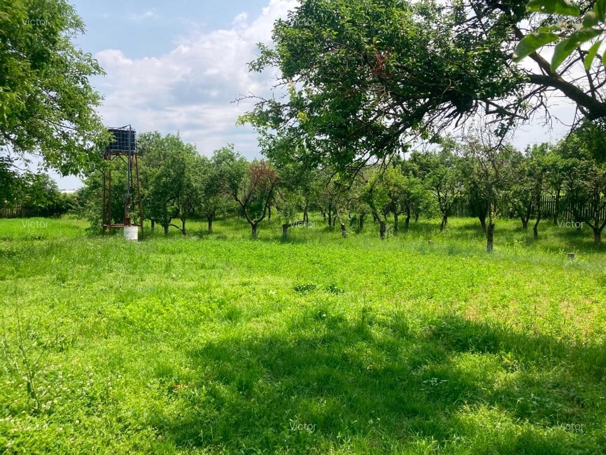 Vând teren intravilan cu casă locuibilă, Butimanu, Dâmbovița – 3.900 m² - 5
