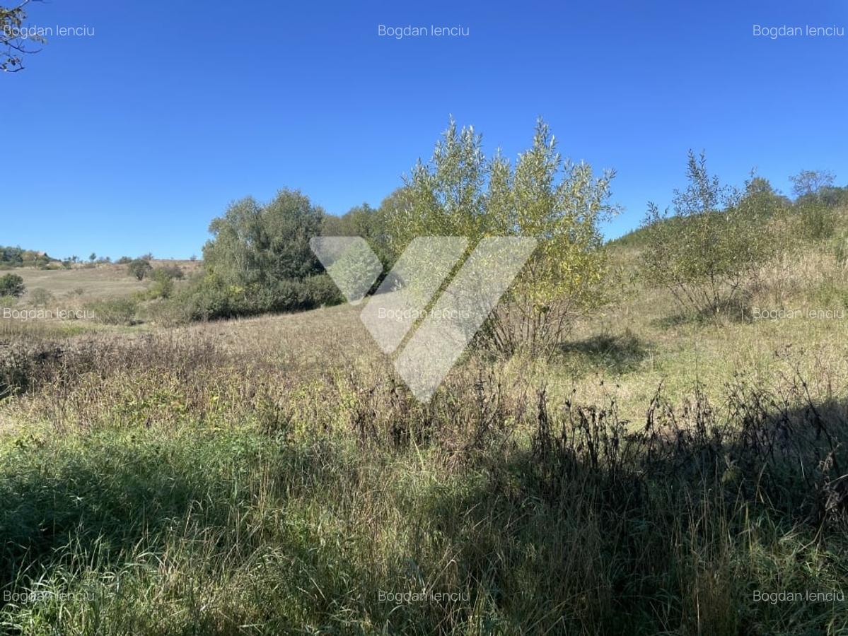 Teren intravilan cu PUZ aprobat 1300 mp - 17 km de Sibiu - 3