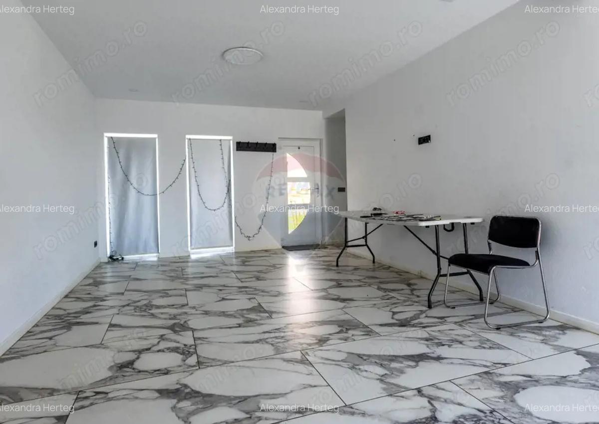 Vila de lux de inchiririat - 4