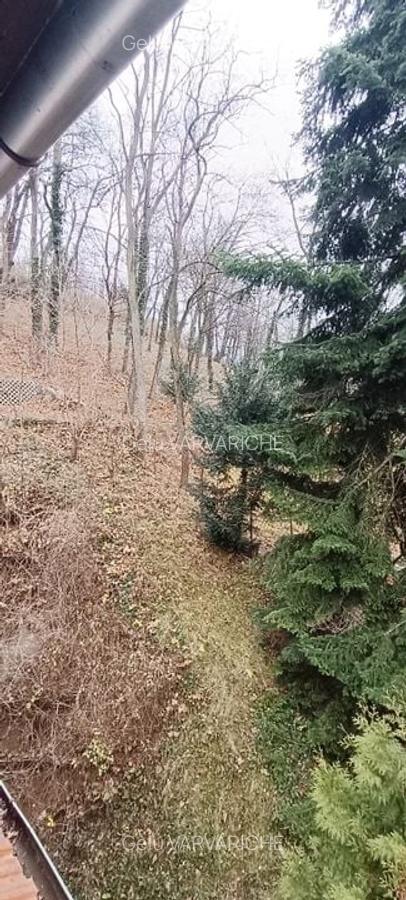 Proprietate cu priveliste si armonie placuta-Brasov - 10