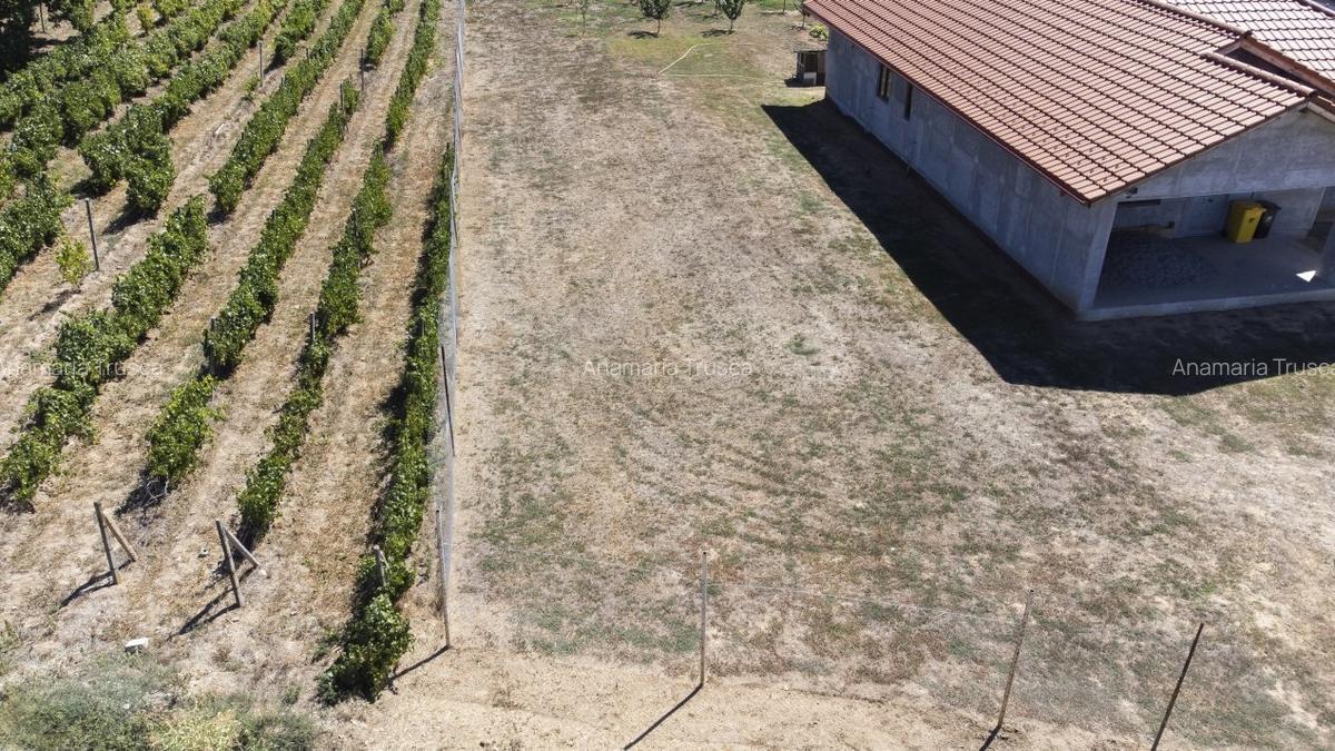 Teren de vanzare intravilan Carcea, 500 mp, toate utilitatile - 10
