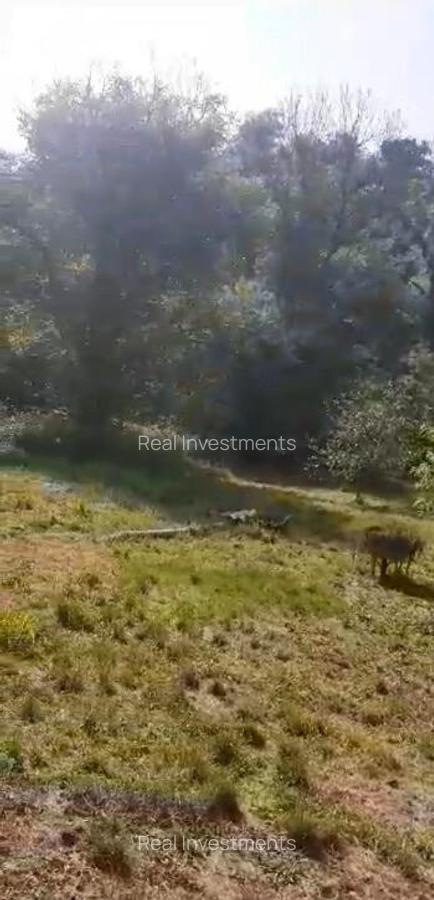 Casa 2 camere in Zam - ID : RH-38533-property - 1