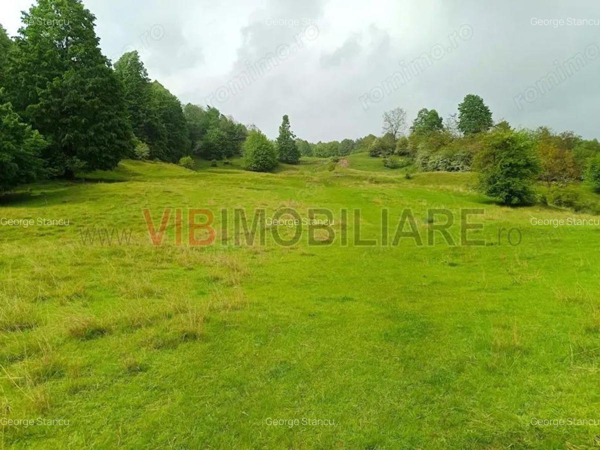 Teren de poveste in inima Brezei, zona Nistoresti - 4