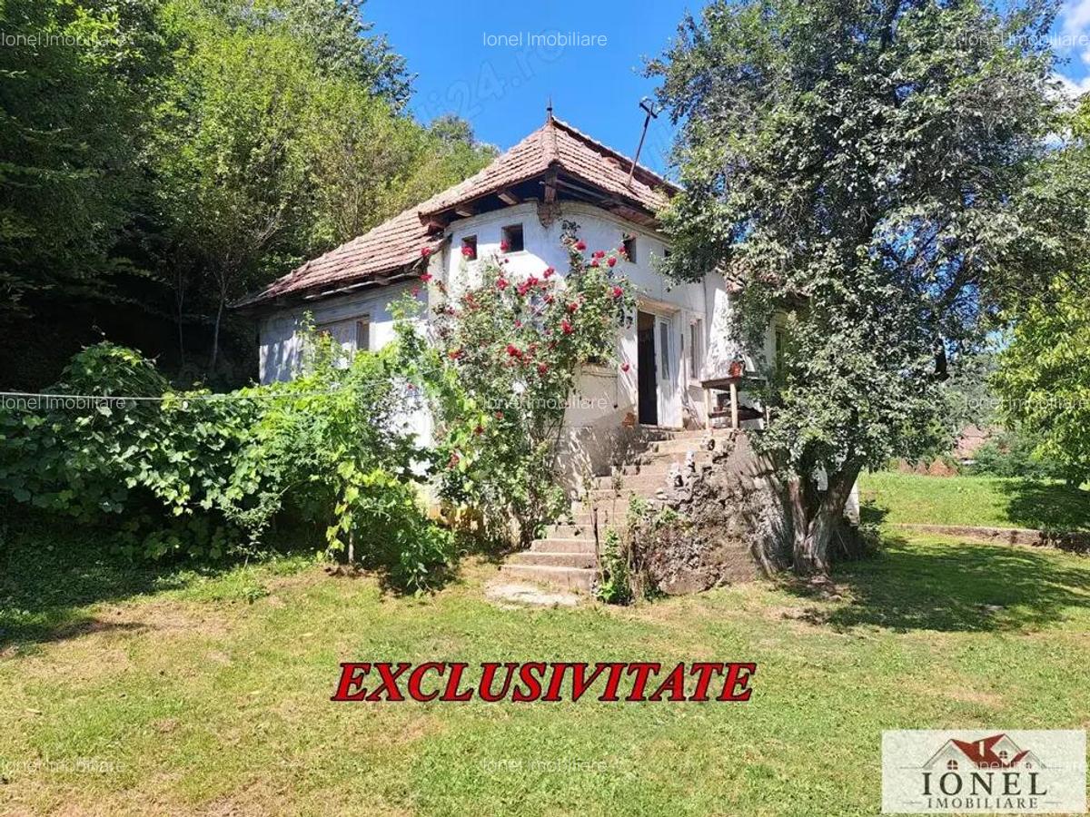 Casa de vanzare in zona Vintu cu 10.790 mp teren - 1