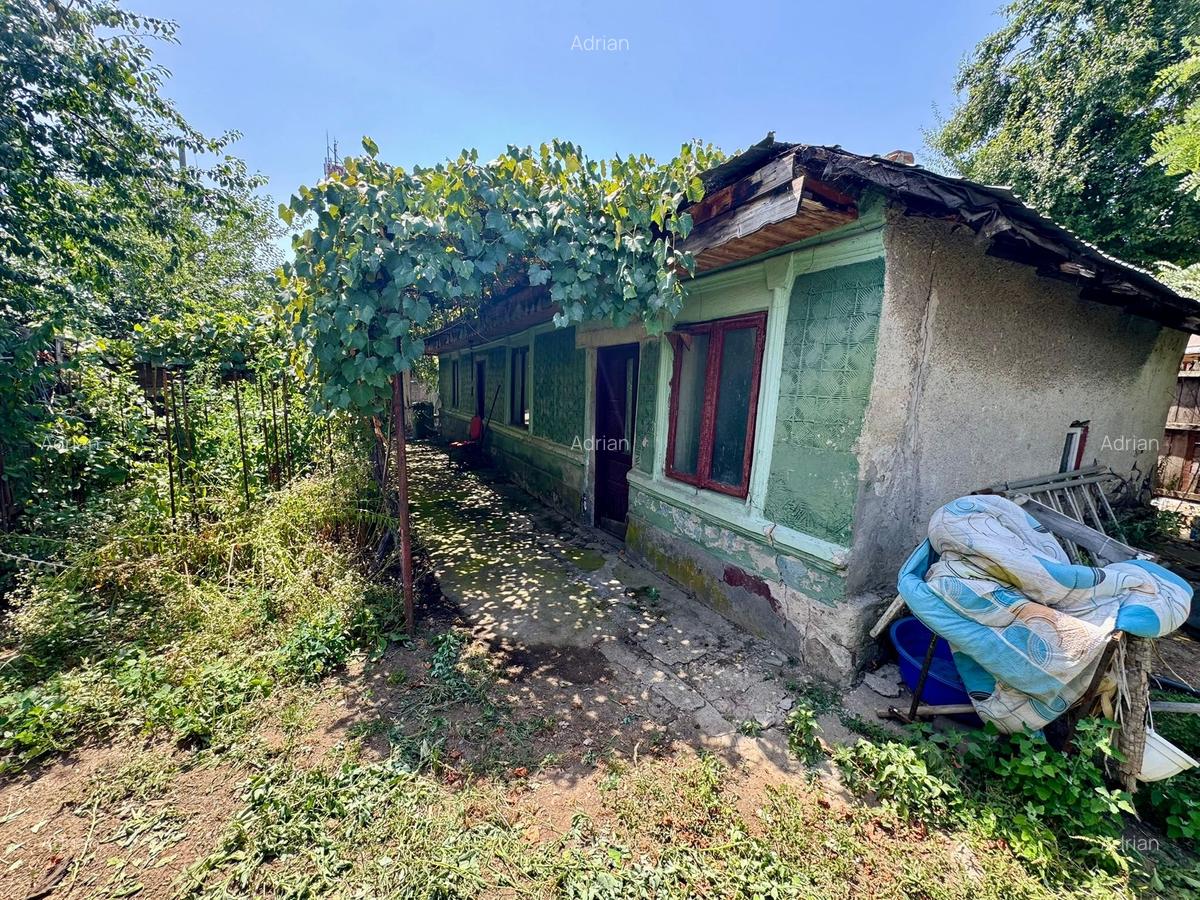 Teren Voluntari | Str. Gheorghe Doja | Toate Utilitatile | Negociabil - 3