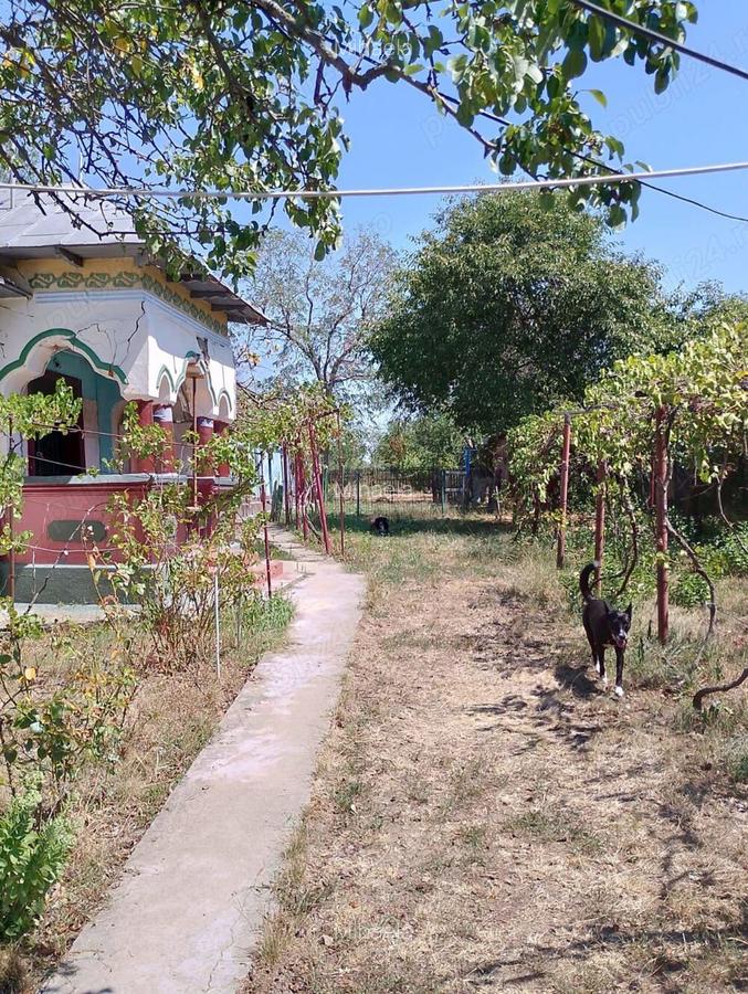 Vanzare Casa Batraneasca Sat Mozacenii-Vale, Jud. Arges 30.000 Euro - 4