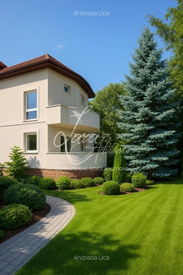 Vila versatila Iancu Nicolae - rezidenta, comercial sau clinica - 3