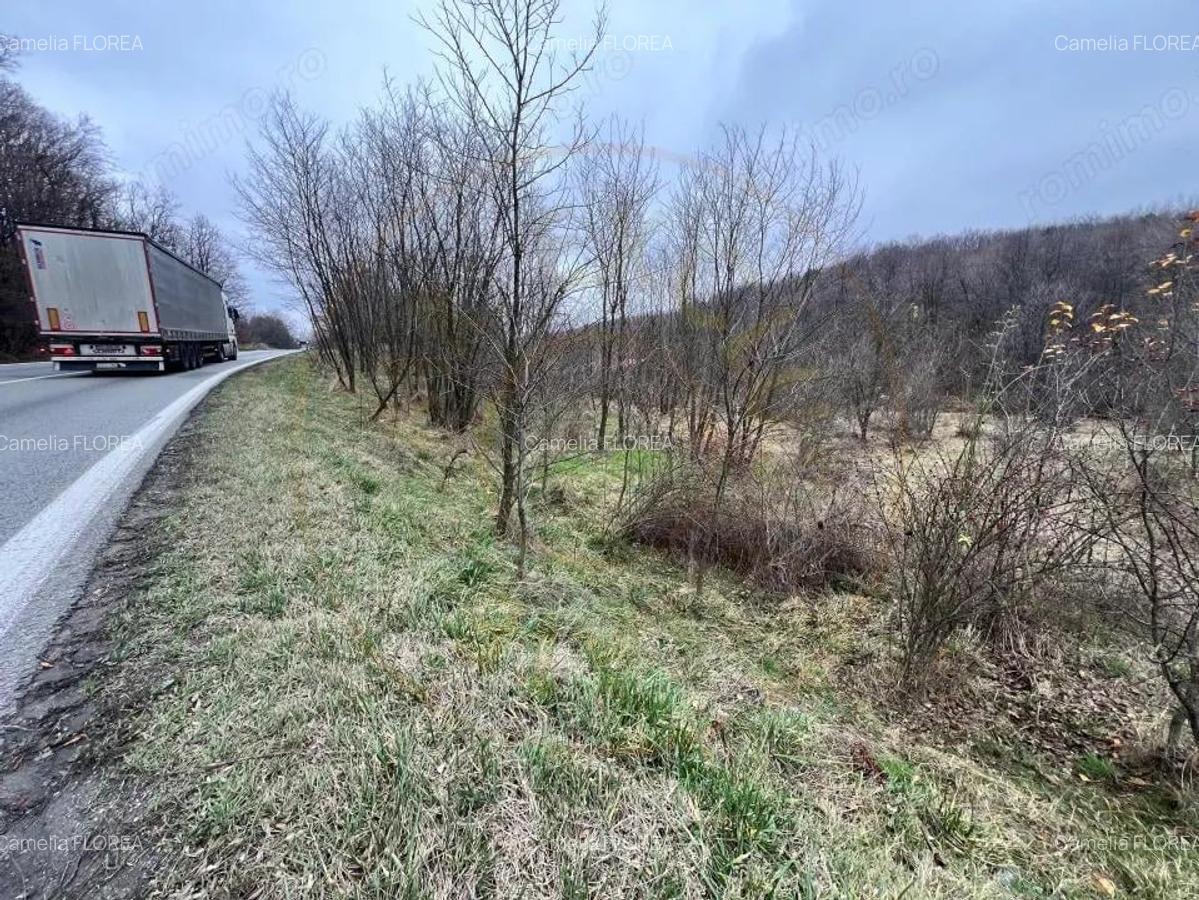 Teren intravilan 6.500 m2Deschidere 144 ml drum european E81, km 35, Moraresti - 4