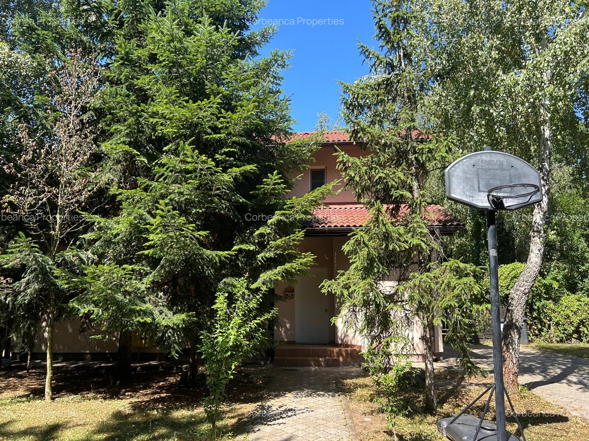 Resedinta cu Padure Privata, Paradisul Verde, teren 1800mp, gradina matura - 9 Resedinta cu Padure Privata, Paradisul Verde, teren 1800mp, gradina matura - 9