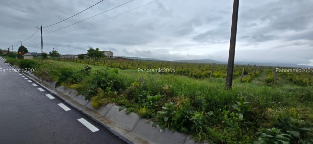 Casa si teren intravilan 4200 mp  Cotesti - 16
