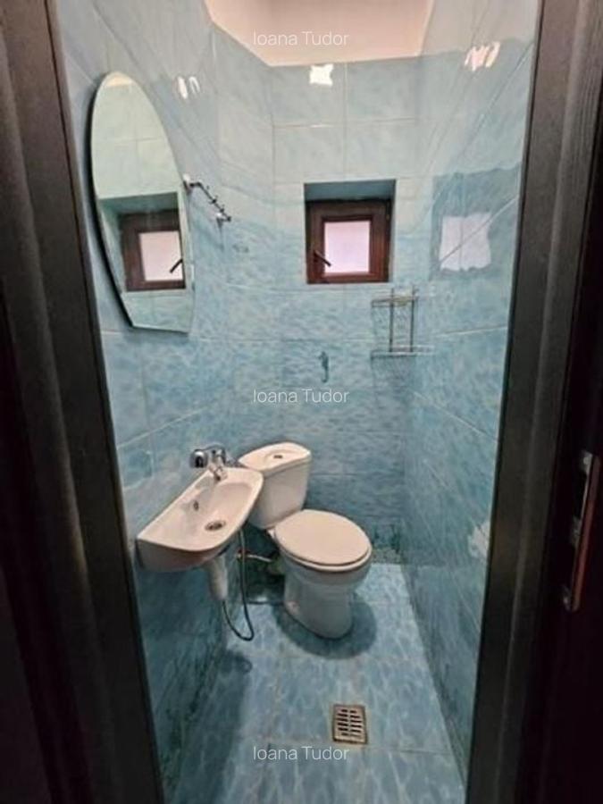 Apartament spațios 3 camere, etaj 1 vilă, pet friendly, Ferdinand - 7