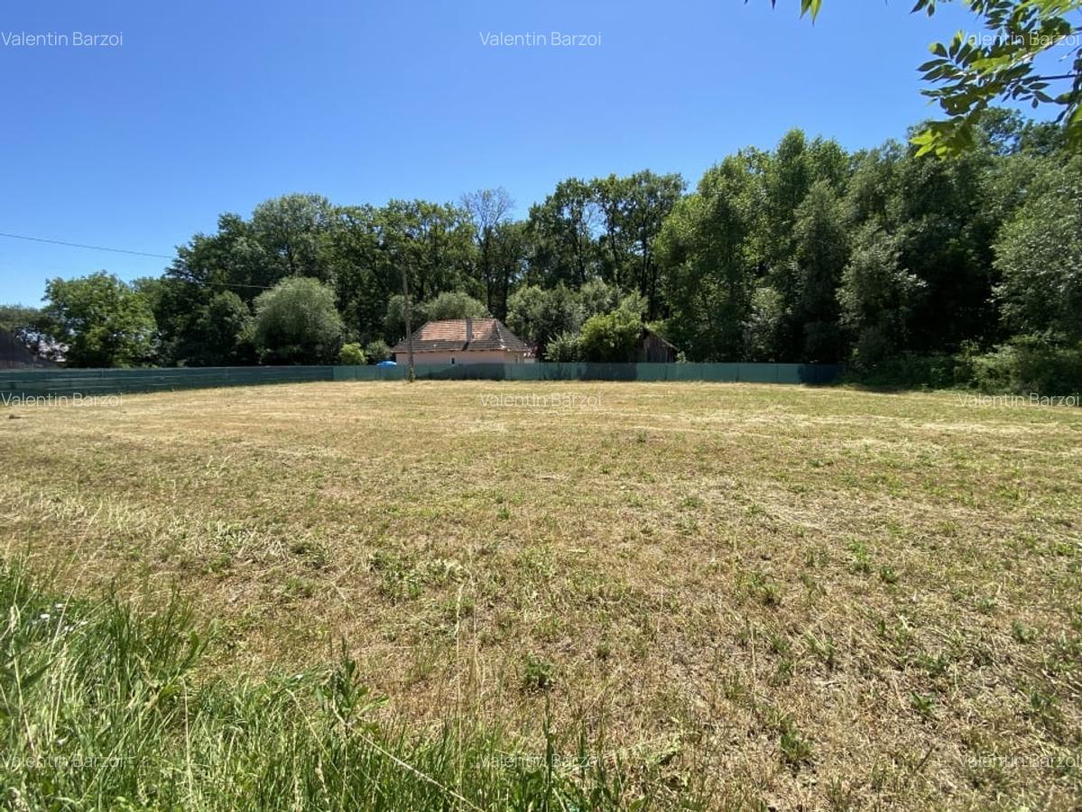 Teren intravilan de vanzare , cu utilitatii, langa padure, zona linistita - 4