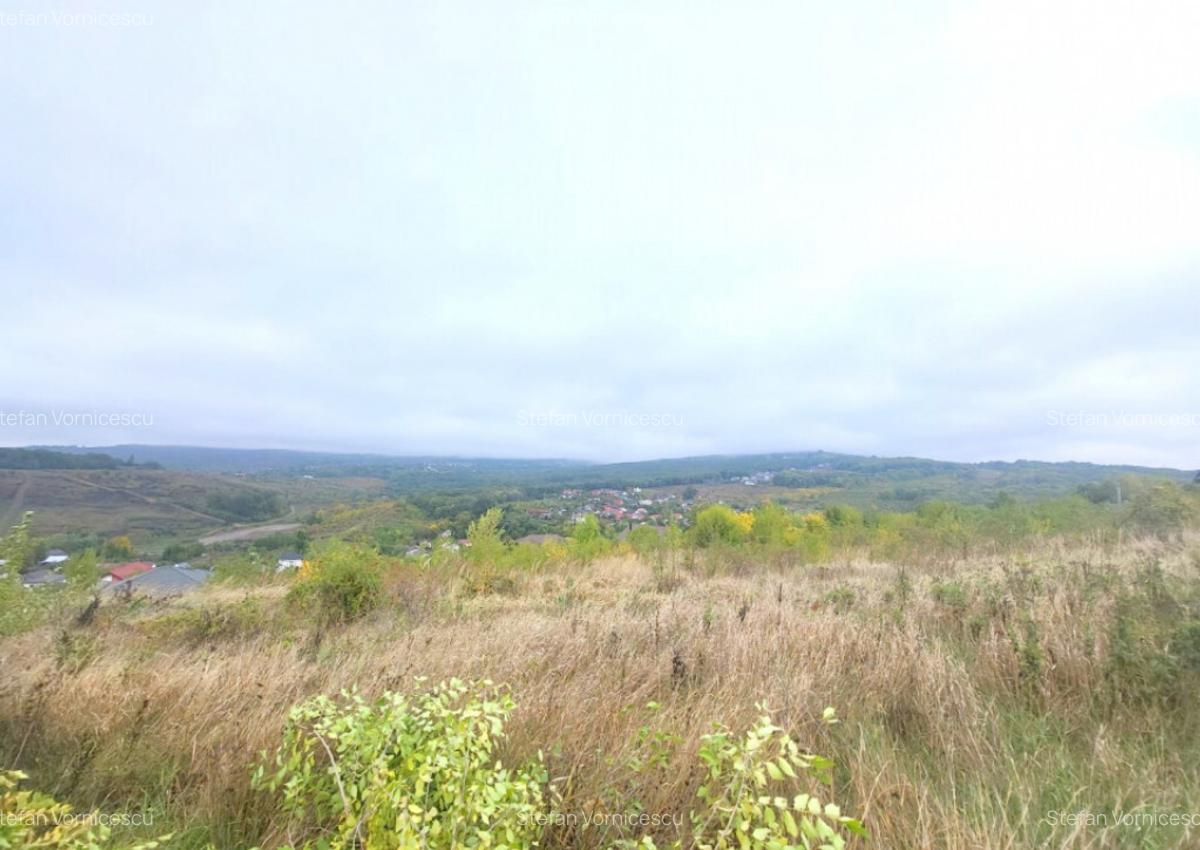 Teren de vanzare Barnova, cu priveliste Vanzare imediata - 7