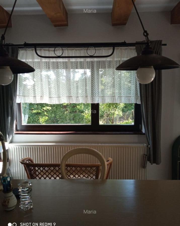 Casa cu peste 1HA pamant la poalele muntelui Cozia - 8