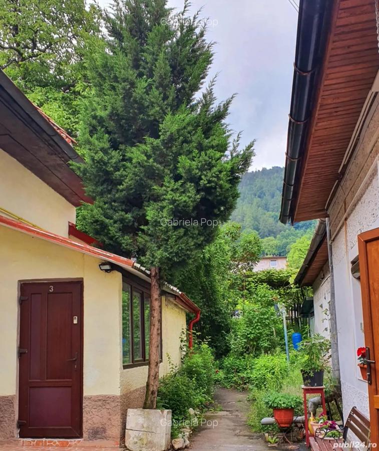 Ofer spre inchiriere apartament 2 camere central - 4