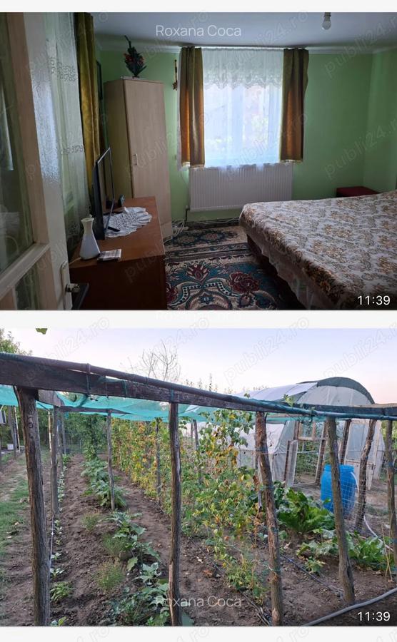 Gospodarie superba cu 3 dormitoare 2 bai si gradina - 4