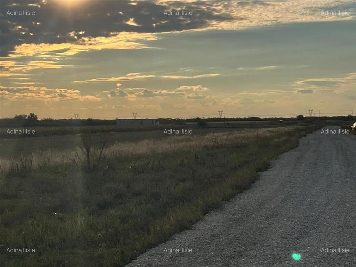 RECO Teren intravilan 5048 mp -Str. Apatelui-zona Grigorescu - 2