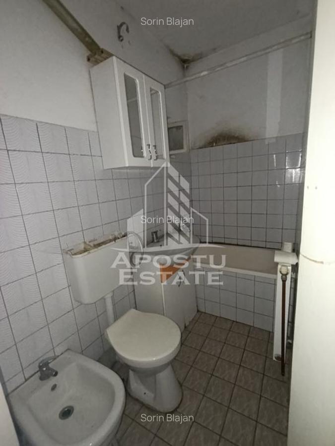 Casa individuala + garaj si anexa, oportunitate investitie, Sagului! - 24