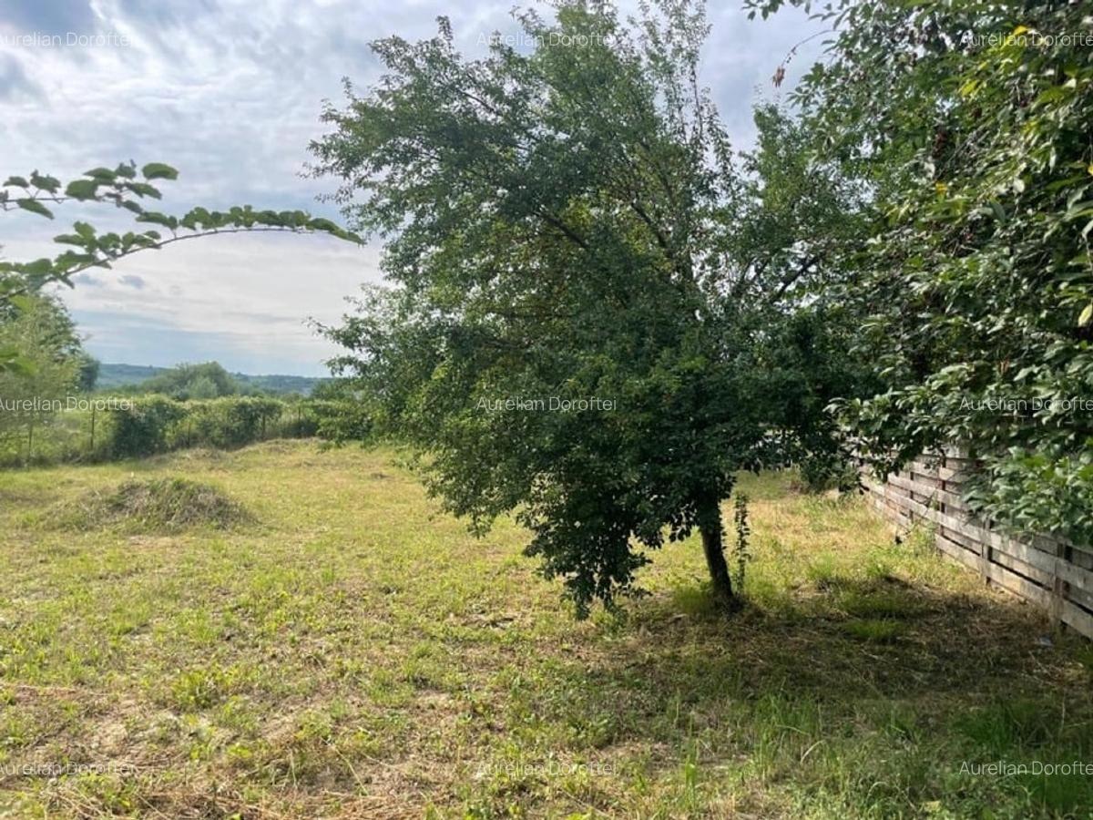 Teren intravilan 556mp Bârnova - pret negociabi - 6