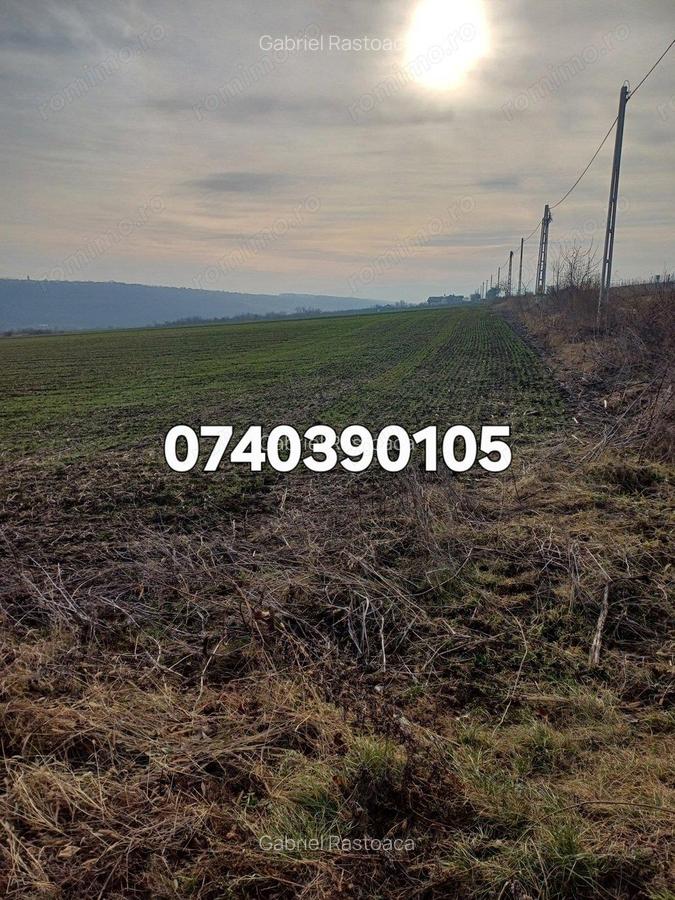 Teren 1950 mp Sorogari - 3