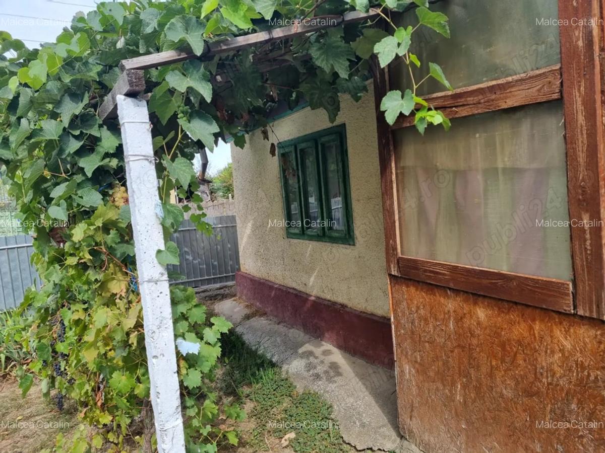 Vand schimb casa aproape de Dunare, muntii Macinului, zona viticola - 5