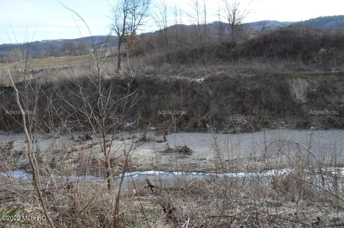 Valea Ursului - DN 7, Teren Stradal 2744 mp! - 7