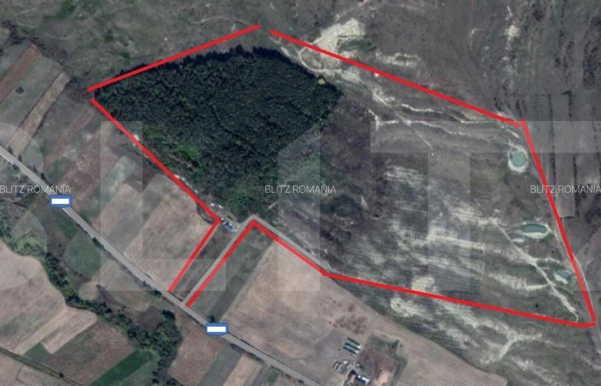 Teren 40 Hectare, Locuinta, 3 lacuri, zona Alunis - 3