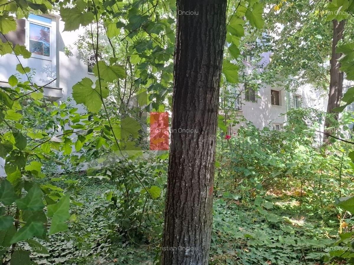 Apartament Piata Victoriei-Titulescu - 10