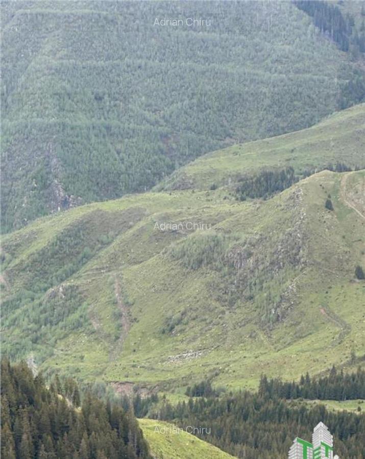 SUPER OPORTUNITATE, DE VANZARE O PROPRIETATE SPECIALA, MUNTE - 6