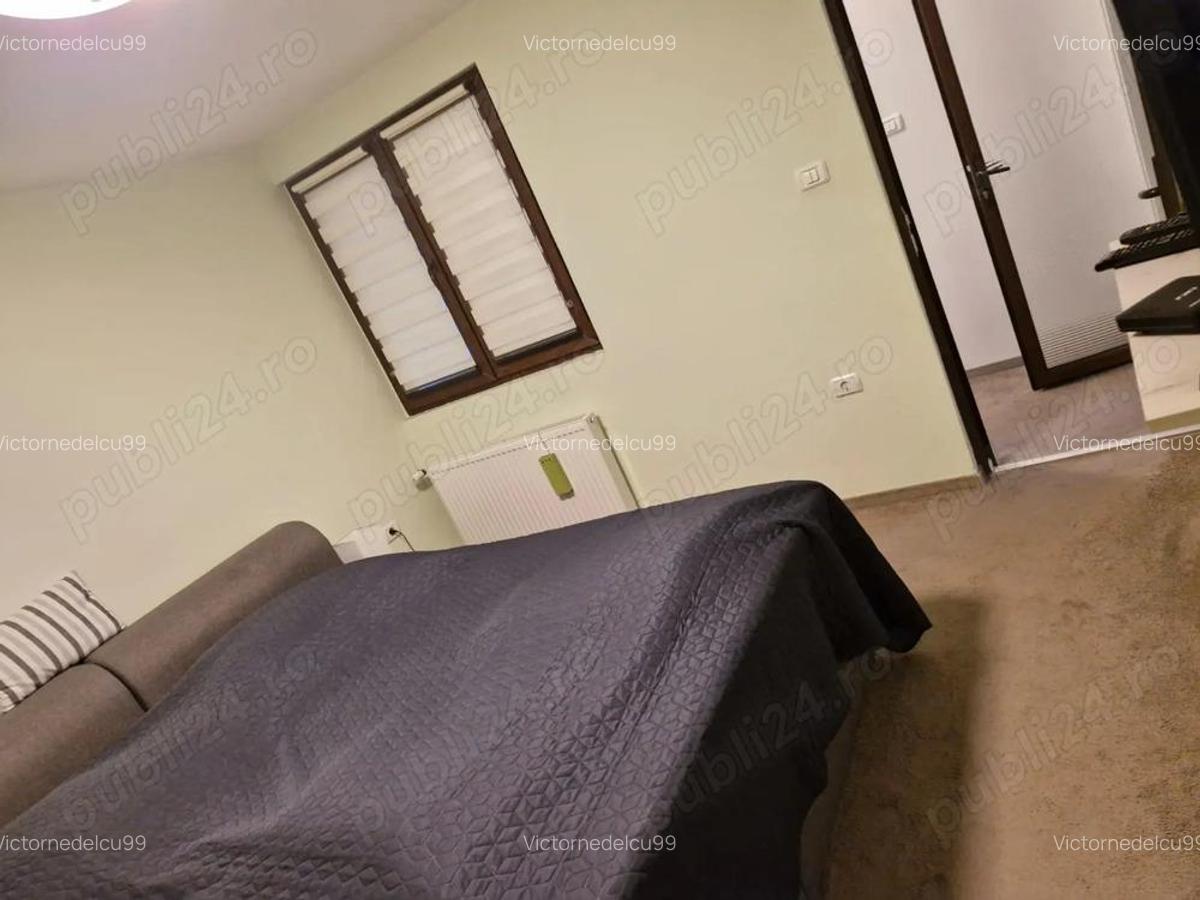 Case cu 7 camere, 2 bucatarii si 3 bai, intr-o curte cartierul Gradiste - 10