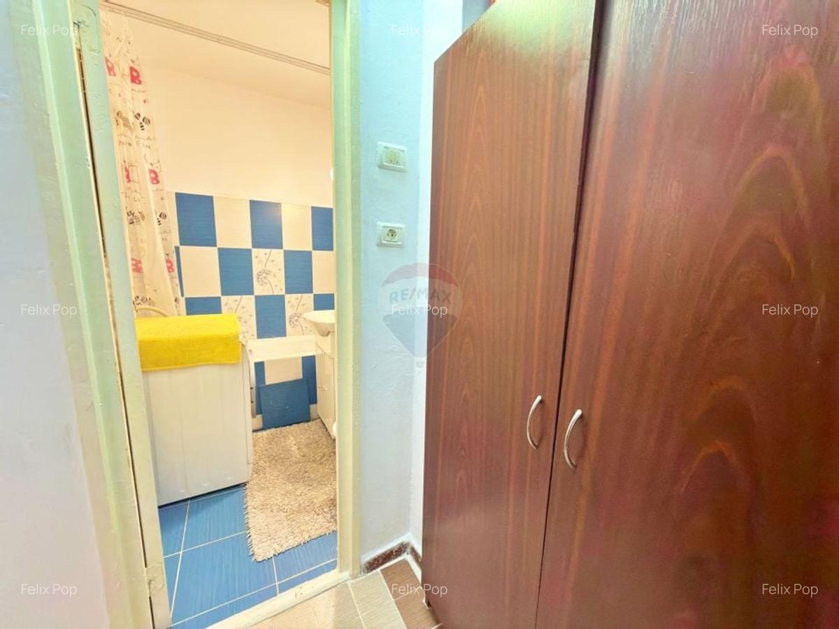 Garsoniera de vanzare (Micalaca, strada Simfoniei) - 9