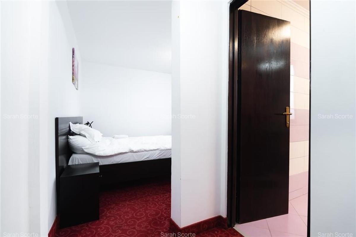 Garsonieră decomandată în Băile Felix - 8