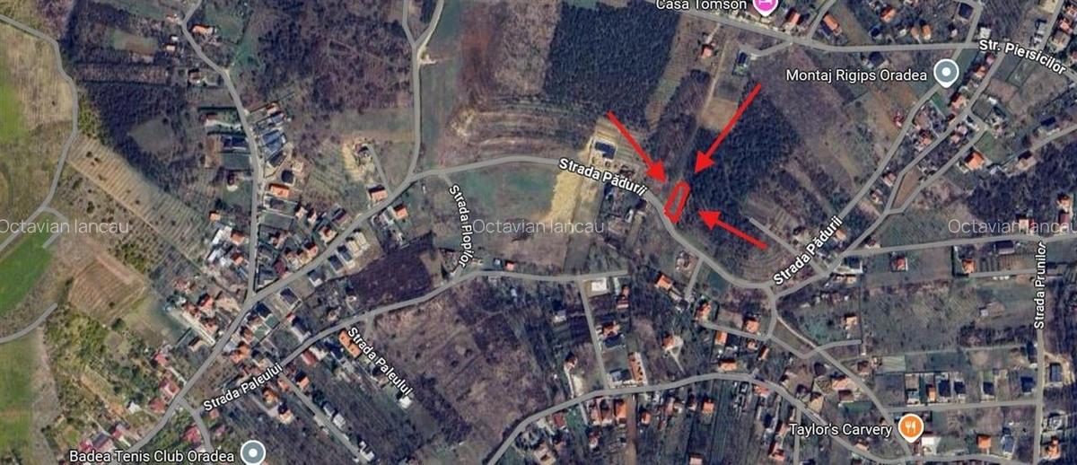 TEREN INTRAVILAN, 950 MP, ZONA PALEU, STRADA PADURII - 3