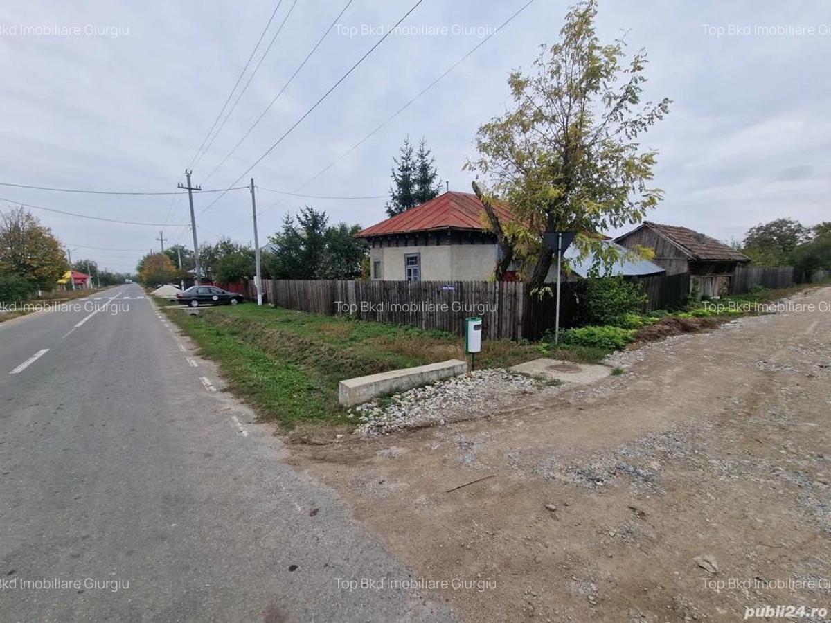 Casa +Teren1300mp[livada+vie] Sat Izvoru Giurgiu - 1