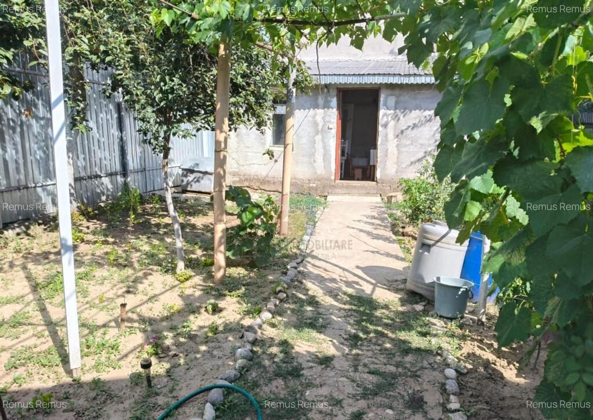 Casa 4 camere, Radu Negru, Teren - 264 mp - 7