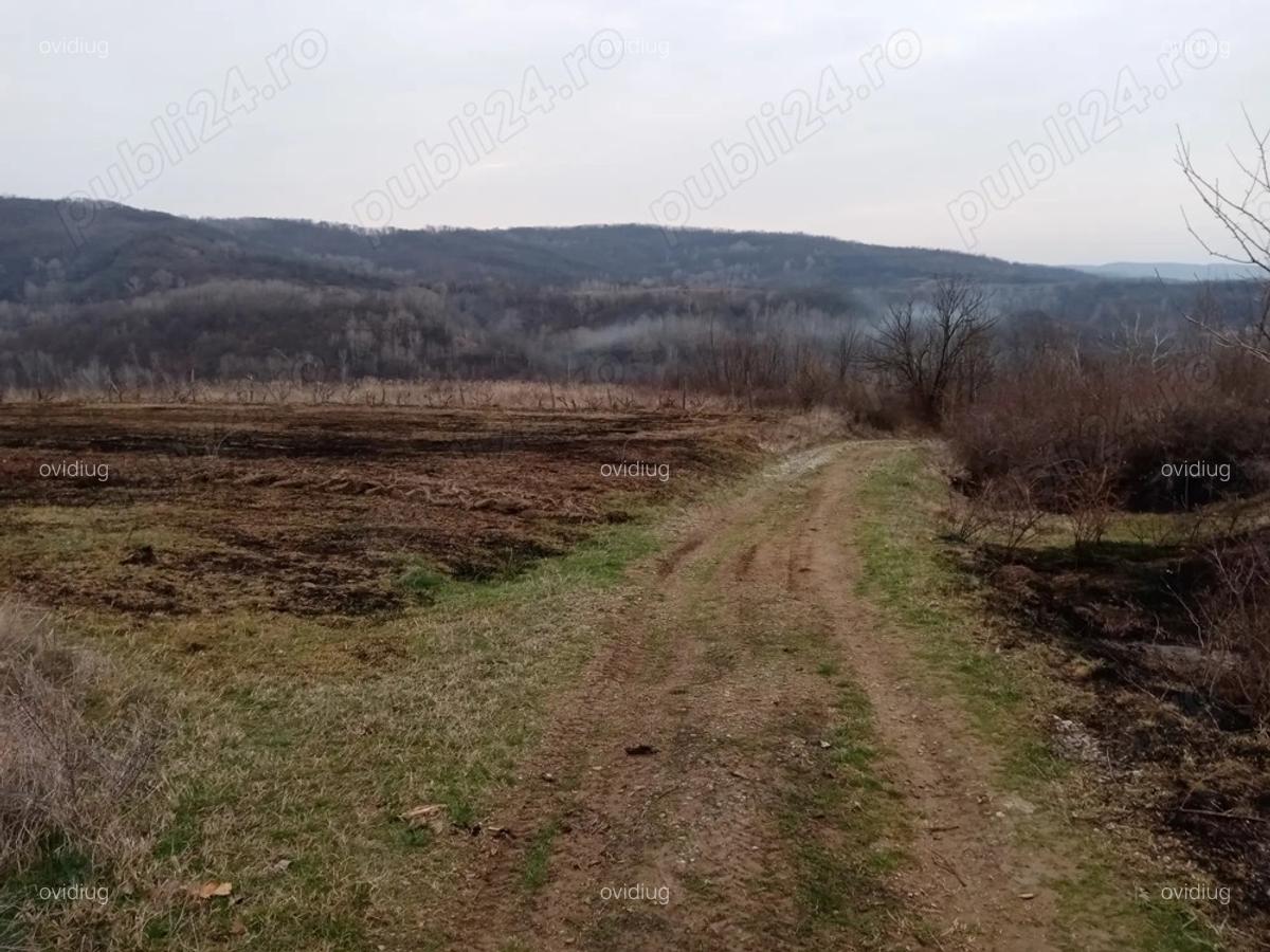 Vand casa la tara in Vladimir - 8