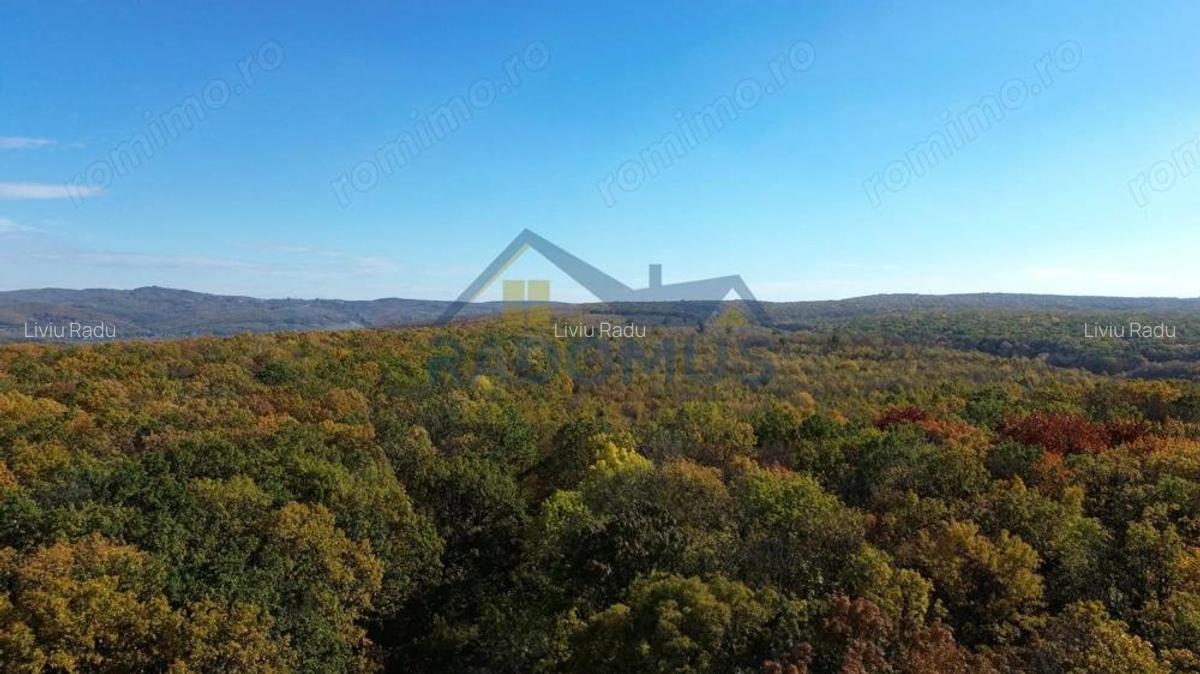 TEREN INTRAVILAN IN PADURE LA VARBILA - PRAHOVA COMISION 0% - 4