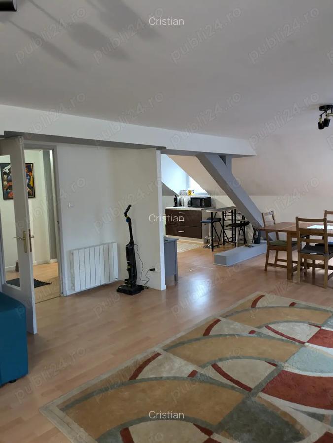 Ocazie, vast apartament introdus in circuitul turistic Airbnb , Lorena - 2