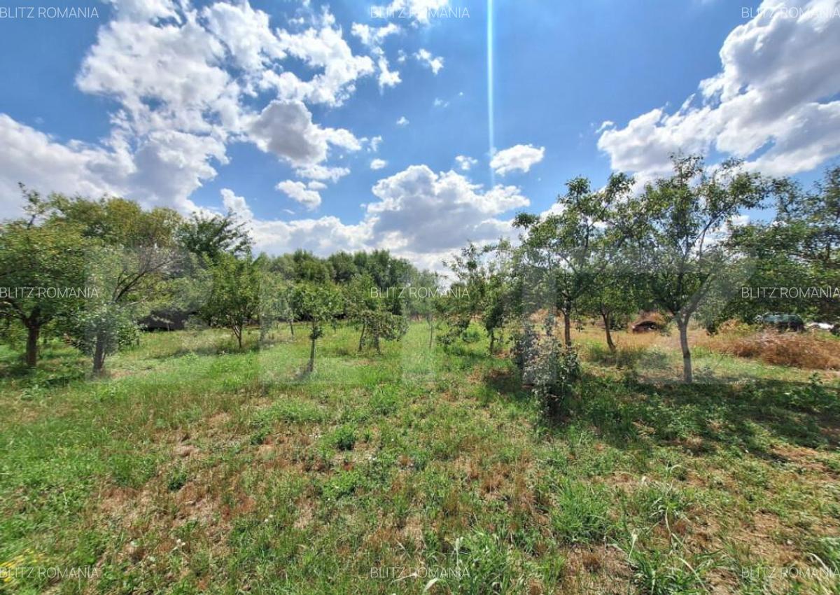 Casa cu teren intravilan, 4600 mp, investiitii/dezvoltare! - 6