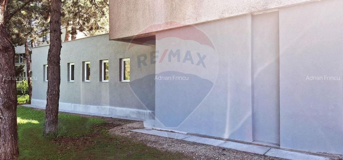 Spatiu comercial 385 mp, zona Tudor Vladimirescu - 10