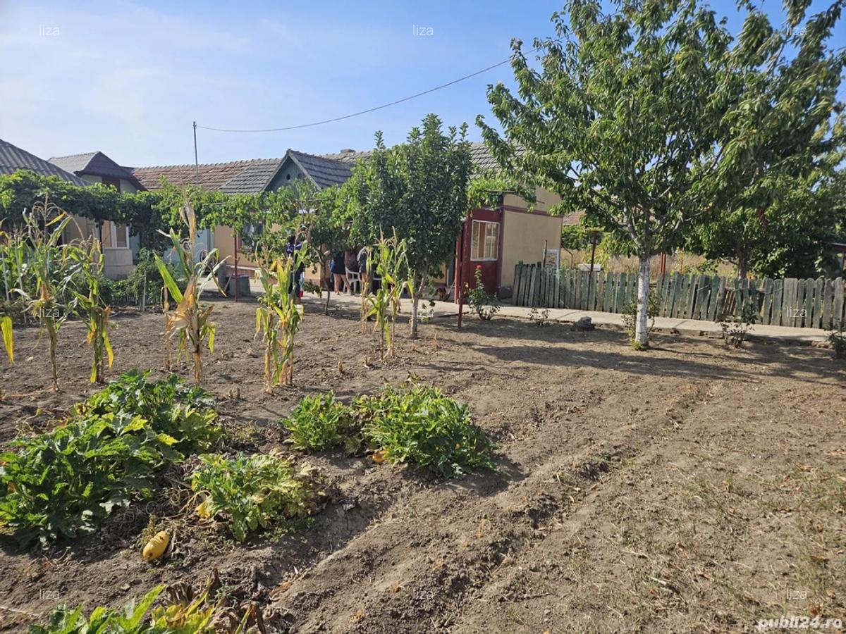 Vand teren Mihail Kogalniceanu Constanta - 5