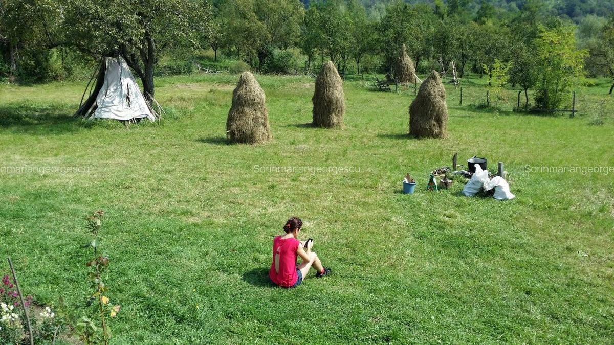 Teren Vanzare cu utilitati si acoperis - Optional rulota functionala - 9